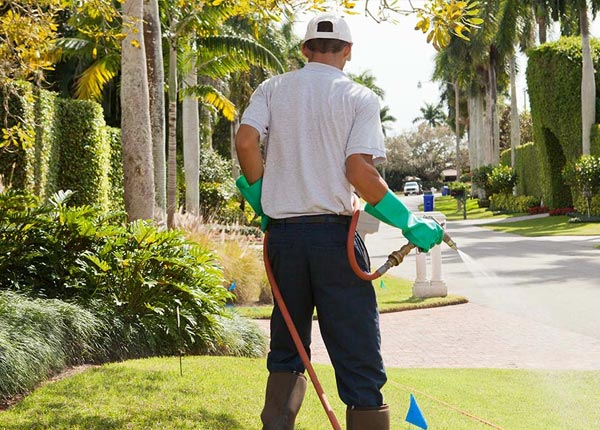 About Clarendon NC Pest Control